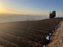 河南卢氏：机械冬耕跑出山区烟叶出产“加快度